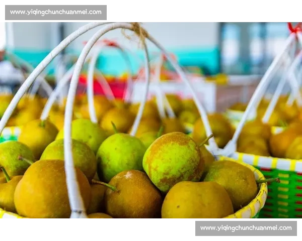 全国优质梨品鉴竞技大赛展现产区实力与匠心风采推动产业升级与品牌发展