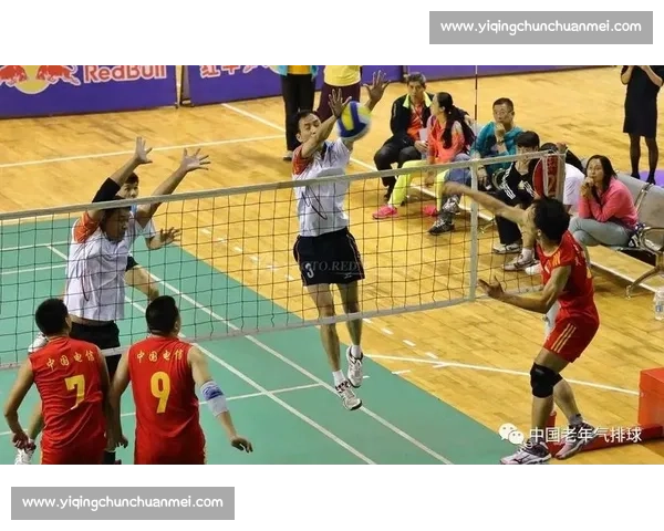 从发球到拦网全面解析排球比赛核心术语与战术语言体系与实战应用