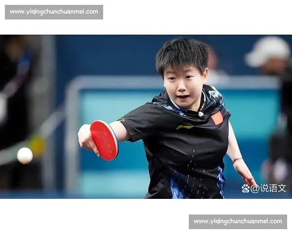2017年世乒乓球赛精彩回顾与冠军之路全纪录